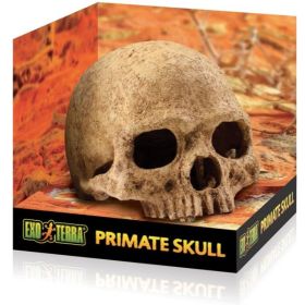 Exo Terra Terrarium Primate Skull Decoration