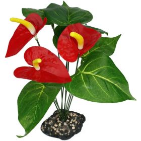 Komodo Anthurium Bush Plant with Gravel Base