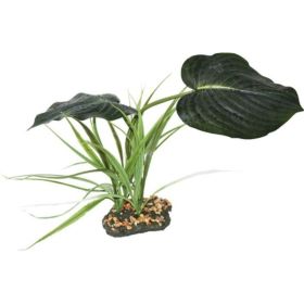 Komodo Woodland Canopy Terrarium Plant