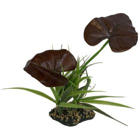 Komodo Rainforest Canopy Terrarium Plant