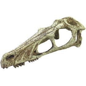 Komodo Raptor Skull Terrarium Decoration