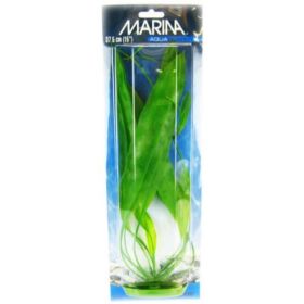 Marina Amazon Sword Plant