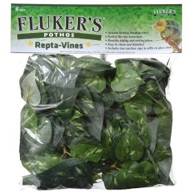 Flukers Pothos Repta