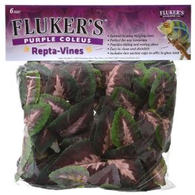 Flukers Purple Coleus Repta