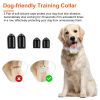 IP67 Waterproof Electric Dog Training Collar Rechargeable Dog Receiver with Light Beep Vibration Shock Fit for All Dogs 10-150LBS